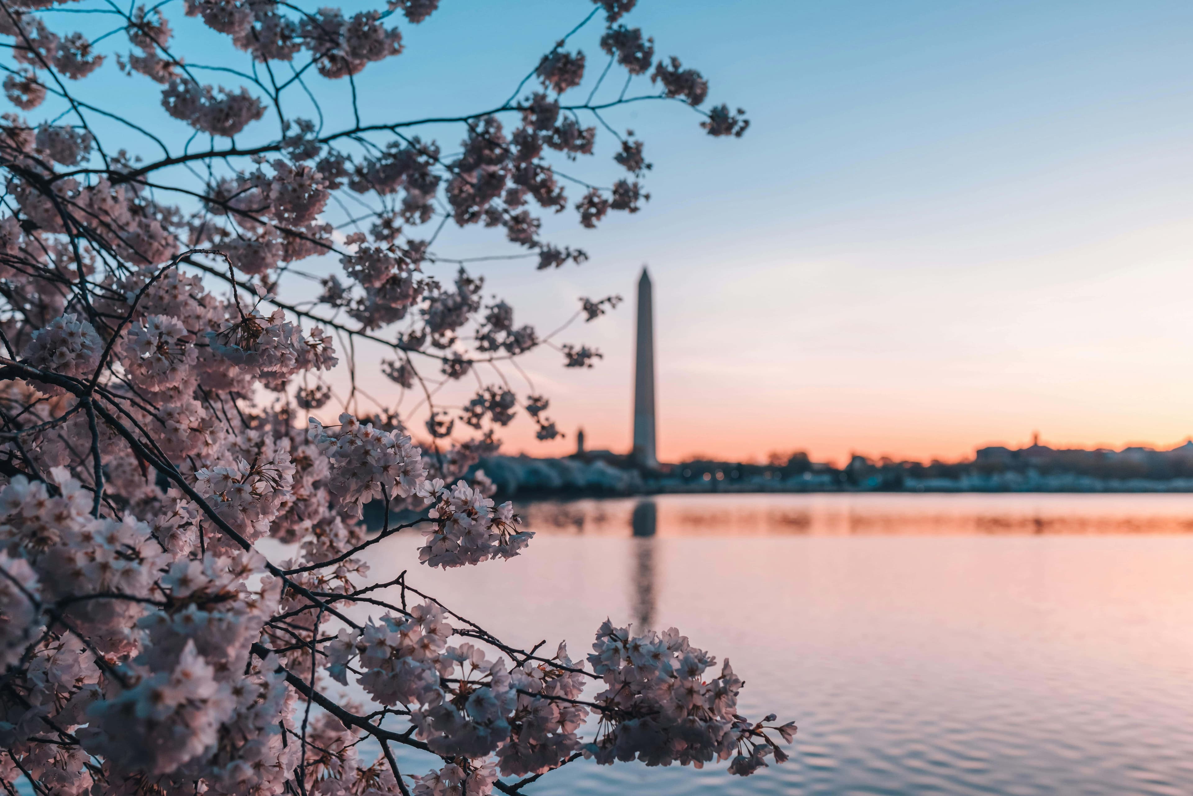 Washington D.C. to Baltimore Car Shipping