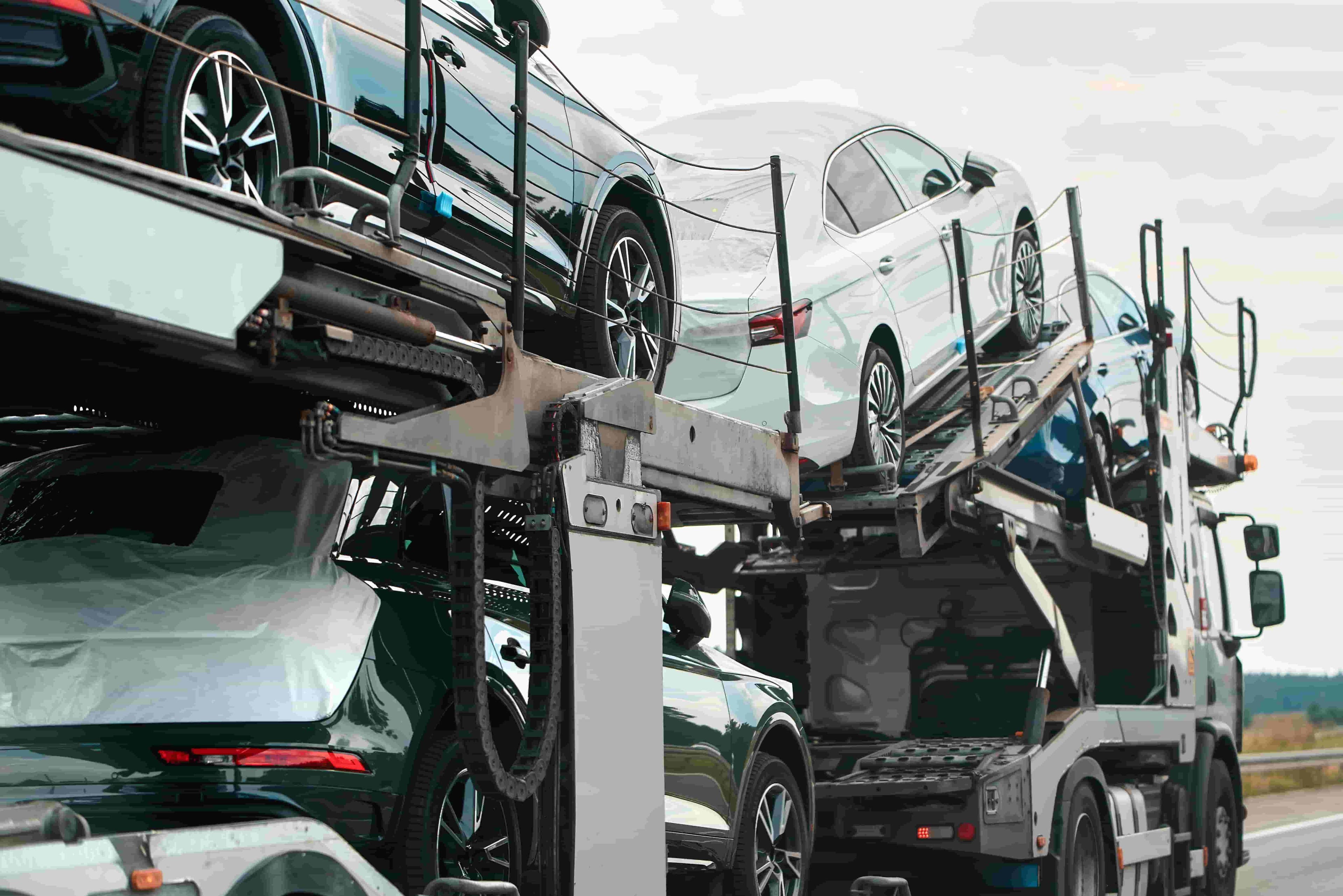 Terms and Conditions