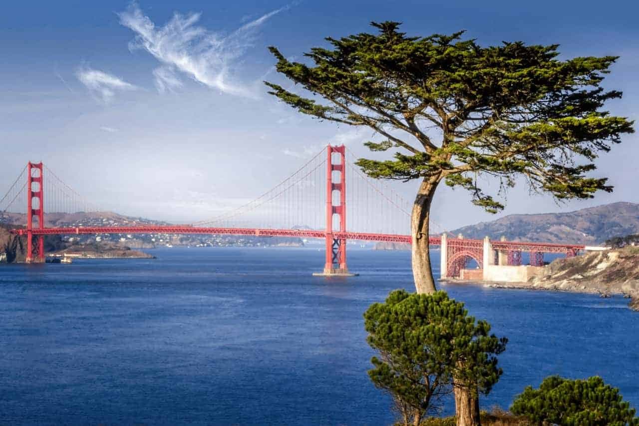 California Auto Transport Solutions